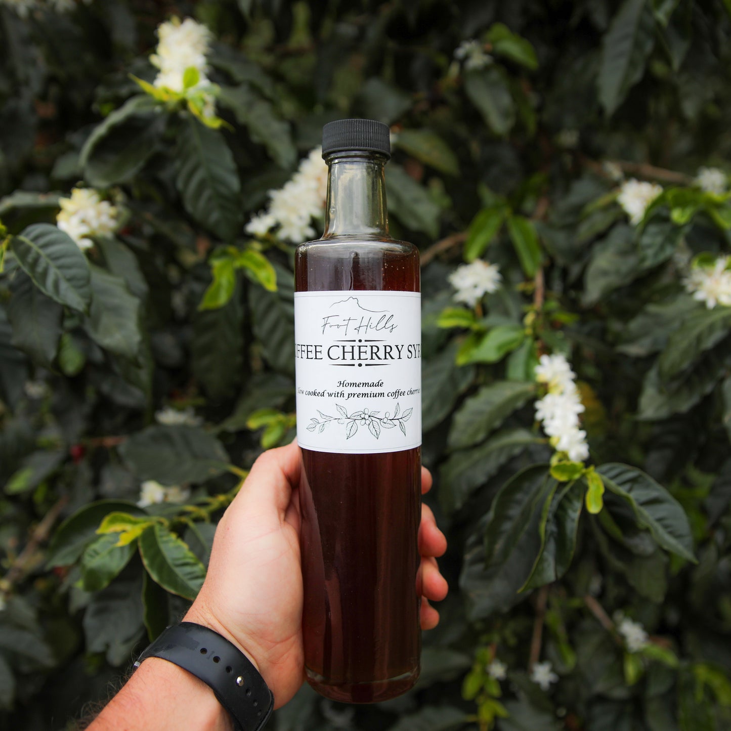 Coffee Cherry Syrup