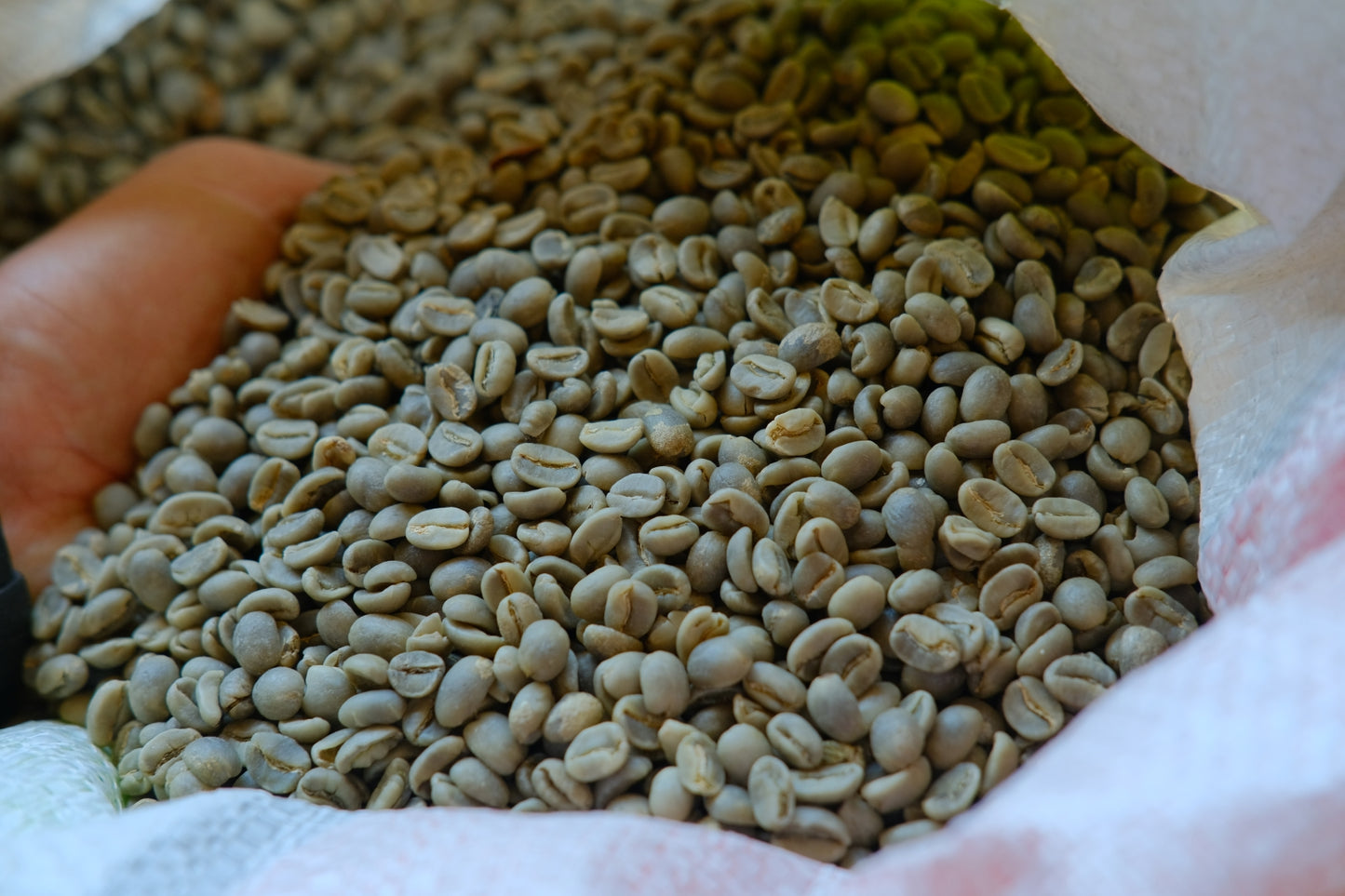 Coffee Green Beans - 1 Kg