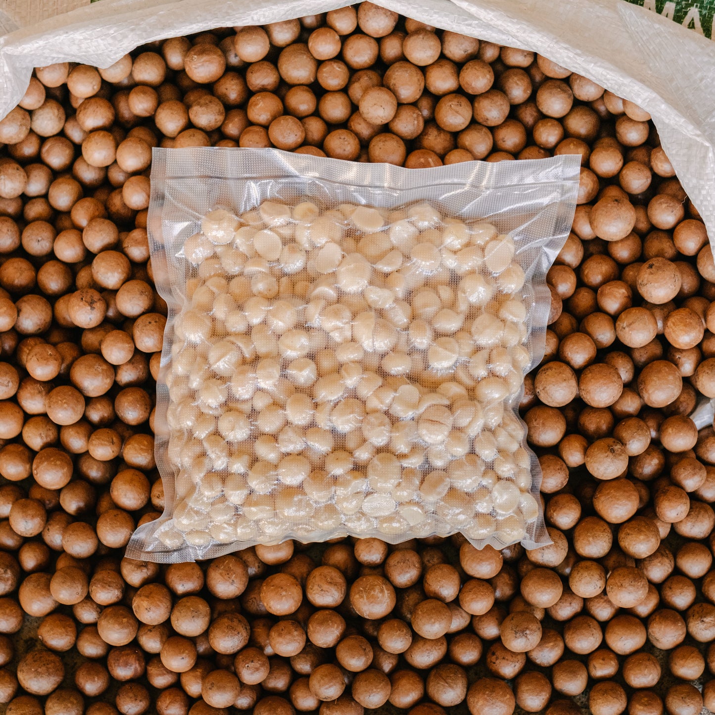 Macadamia nuts - 1 Kg